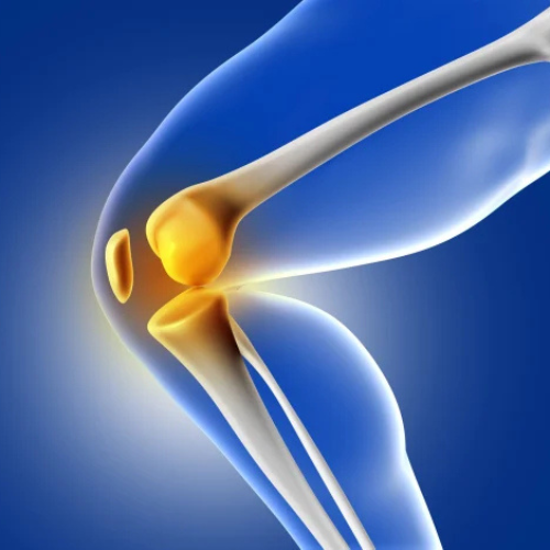knee-replacement-surgery.